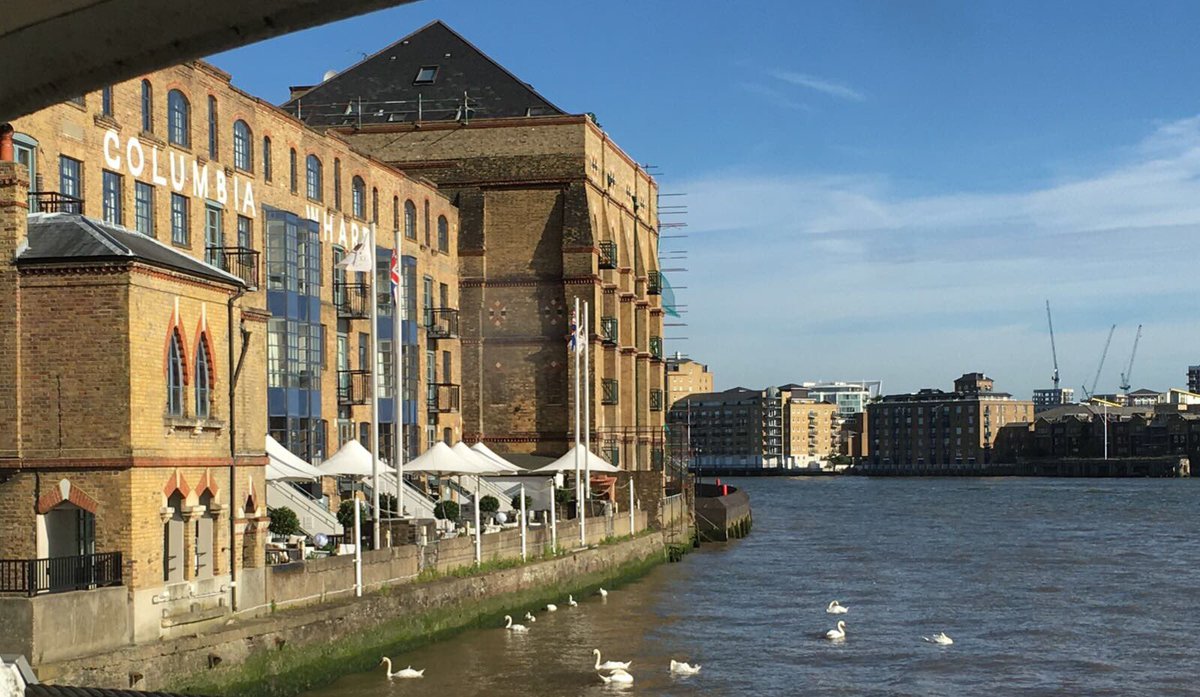 emirtaner's tweet image. @DoubleTreeDock @ColumbiaRest looking great together with the swans