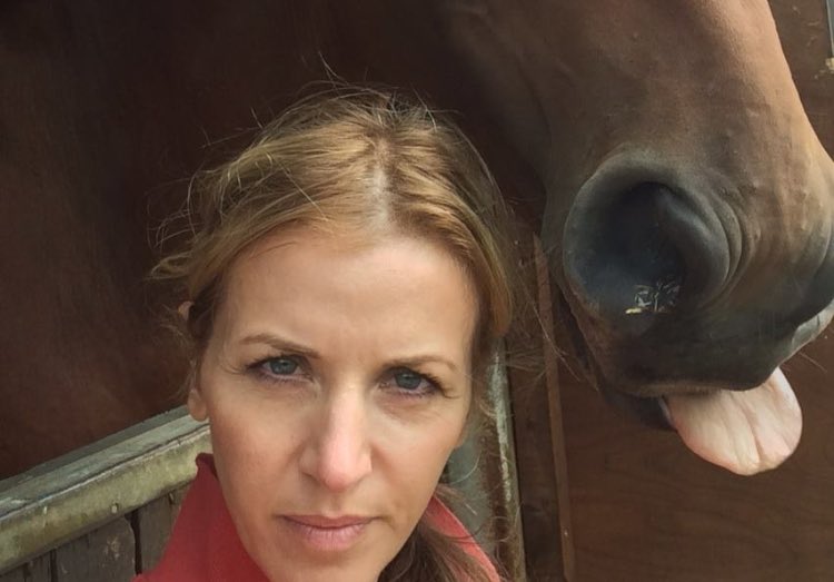 jumpstack's tweet image. When your horse is the class clown 😂 #nellieoneil #horses