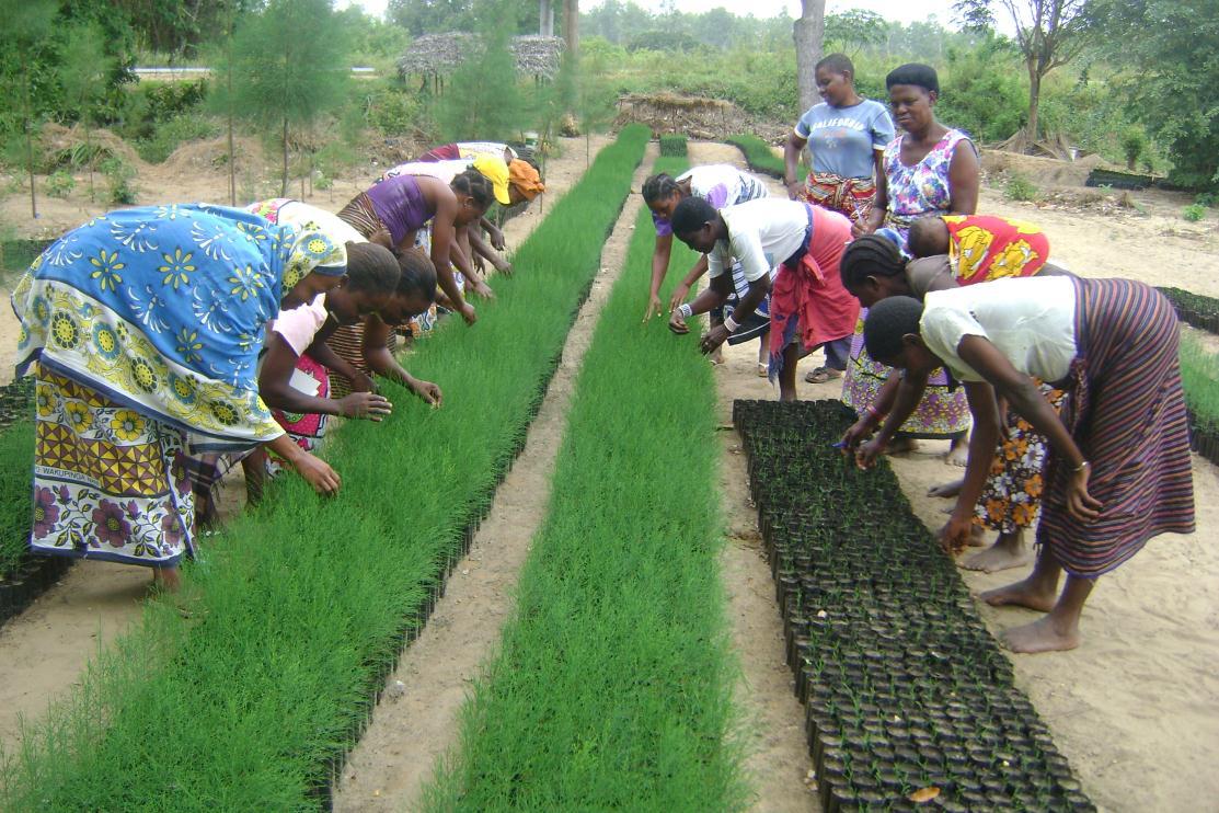 Participatory Forest Management  main objective is to enhance  conservation and proper utilization of forests by improving livelihoods.