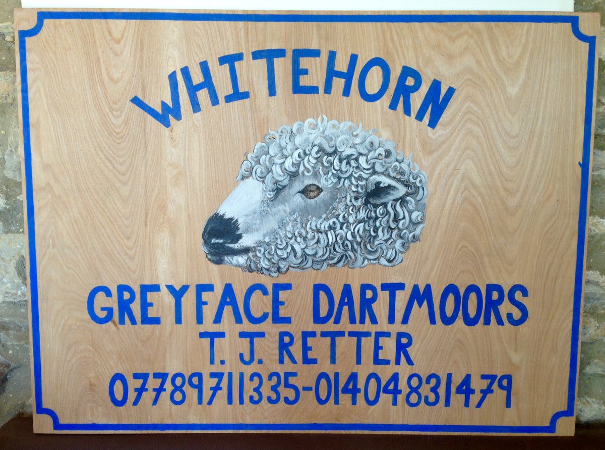 GreyfaceW's tweet photo. Our new showing sign is nearly ready!! #showtime #SheepShow17 #sheep365 https://t.co/lsBtQ0mxTg