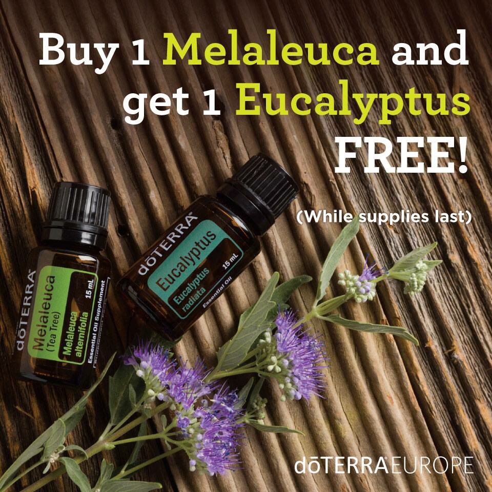 Whaaaa BOGO deals.. Iedere dag een nieuwe deal!! 😍 Je eigen Hamam met de Eucalytus. Info? Mail naar info@manjakoster.com