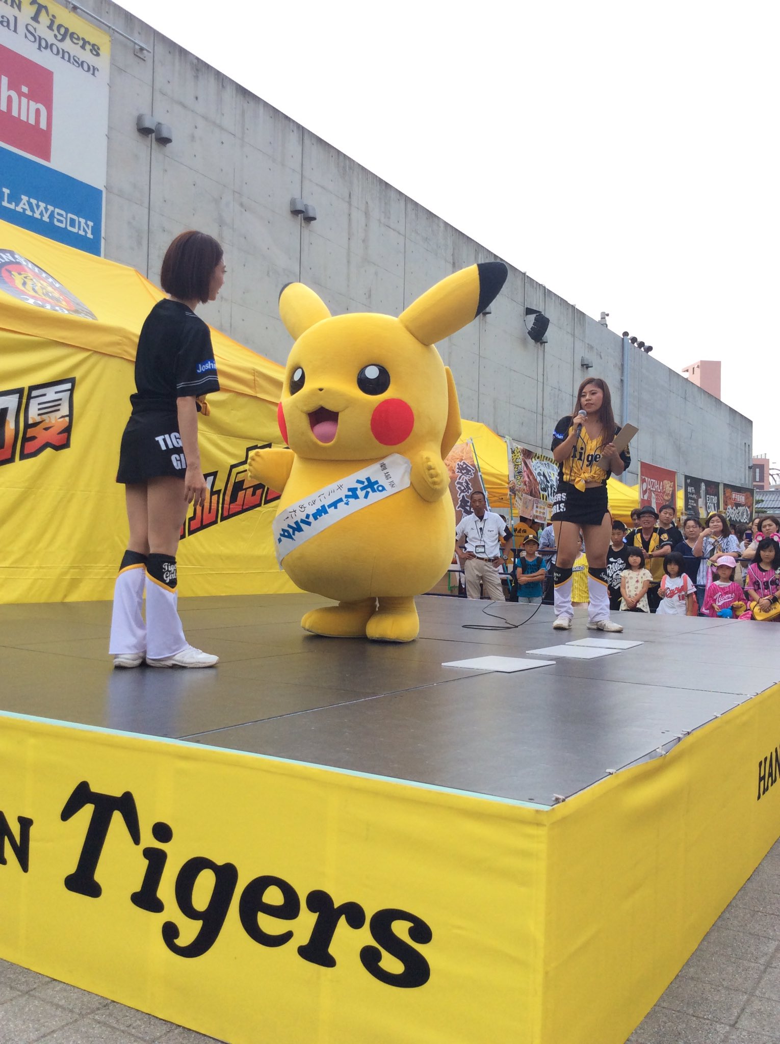 阪神タイガース記念 ポケモンAGぬいぐるみ　ピカチュウ ユニフォーム 野球 タグ Yahoo!オークション -「(阪神タイガース)tigers」(ぬいぐるみ) の落札