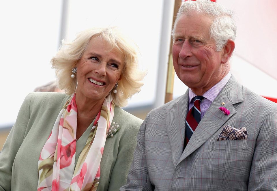 Happy birthday Camilla! The Duchess looks amazing in this portrait for her 70th  