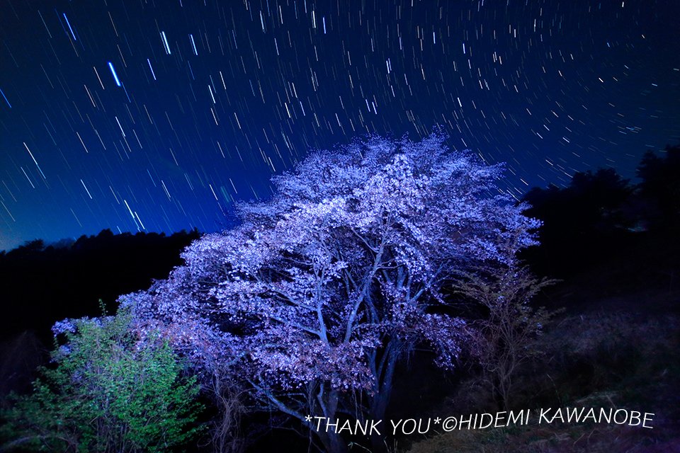 hidemikawanobe's tweet photo. #山奥に #ひっそりと佇む #山桜 ★ #奥久慈 #沓掛峠 の #星景
The #starlight_night★The #wild_Cherry_tree #quietly standing #in_the_mountains.
#桜 #サクラ #さくら #星景写真 #大子 https://t.co/7Pz9nqPH18