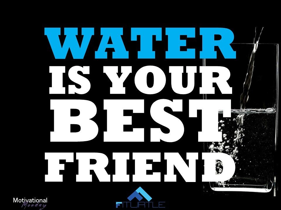 FiTurtle tweet media