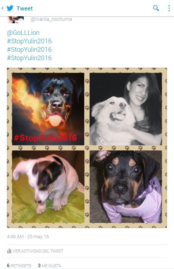 Ivania_nocturna's tweet photo. #StopYulin2017
#StopYulin2017
#StopYulin2017 https://t.co/jVxO78piQQ