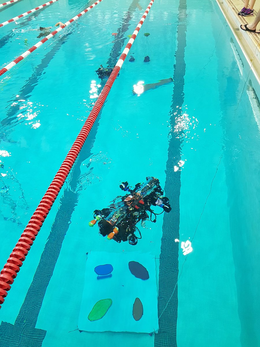 Both subs went off-tether today and they're looking great!