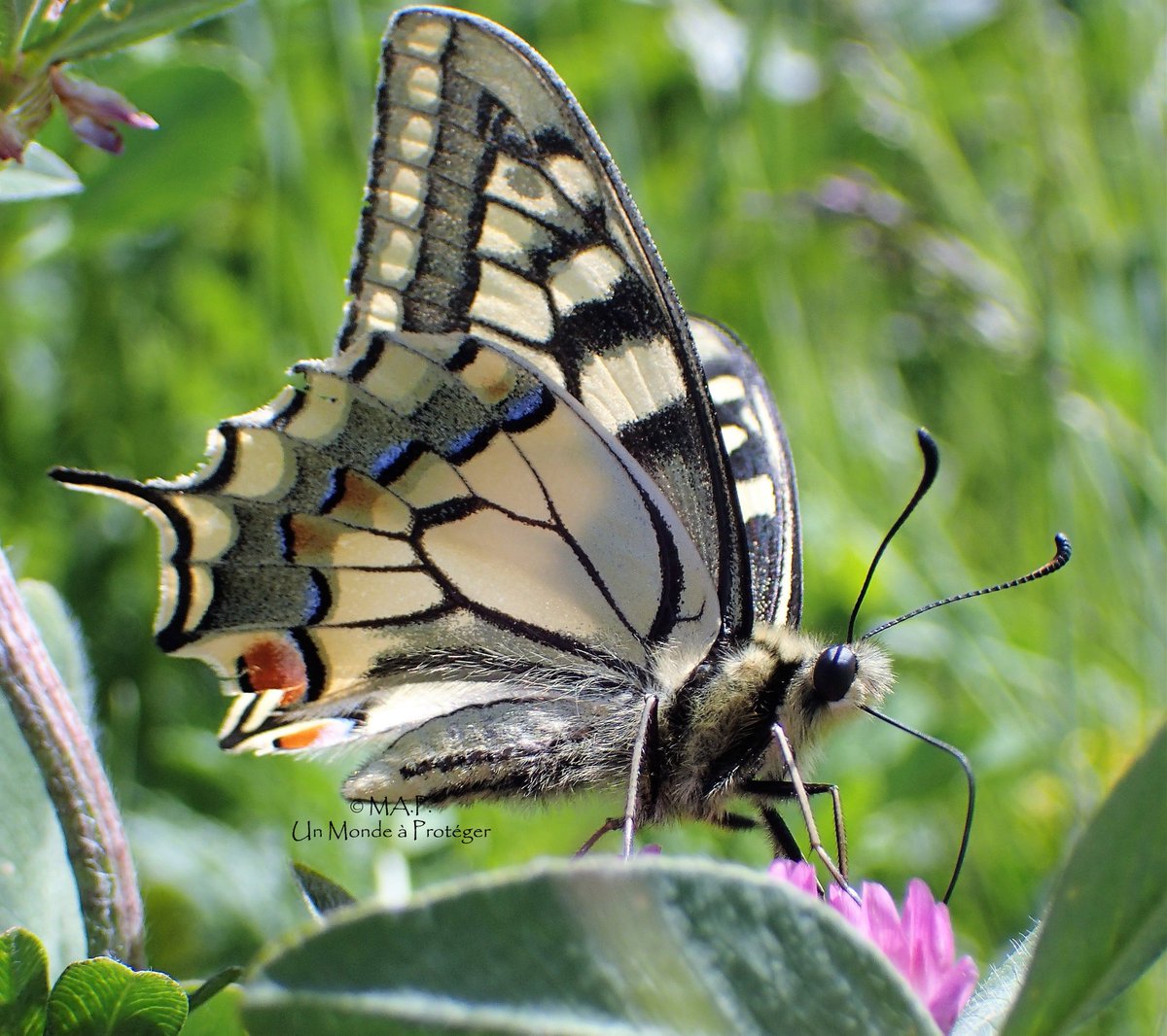 mamaya19970282's tweet image. Happy Birthday my Friend 🍾🍾🥂🥂🎂🎂Excellente nouvelle semaine🍾🍾🥂🥂🎂🎂