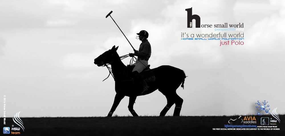 Horsesmallworld's tweet photo. it's a wonderfull world - perspective HSW - HSW Foundation- 2017 - Just Polo https://t.co/Q2UjfowHIn