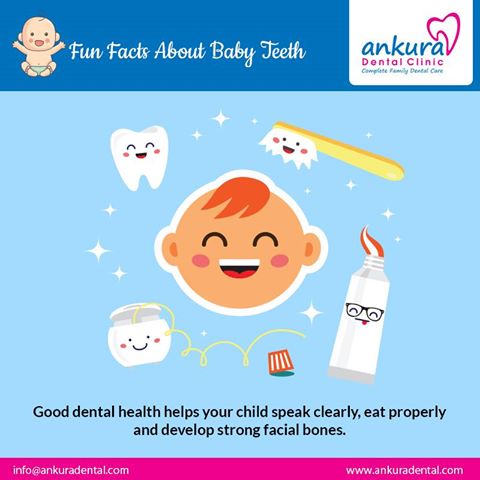 AnkuraDental's tweet photo. Fun Facts about baby teeth.
#DentalFacts #Dental #GoodDentalHealth #FacialBones #BabyTeeth https://t.co/GAWDWhJ7fB
