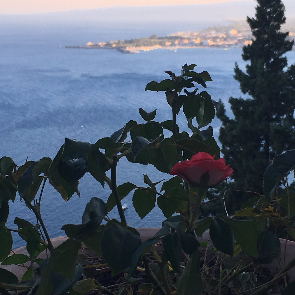 One Single Red Rose ... From Taormina with Love 🌹whitealmond-privatesicily.blogspot.com #travel #food #lifestyle #sicily