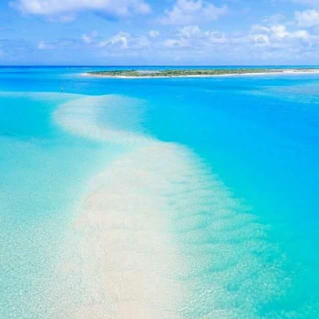 IamSirCourtney's tweet image. #TurksandCaicos #natural #beauty - #God has surely been Good to US! #BookNow #TravelWow  #NoBucketList