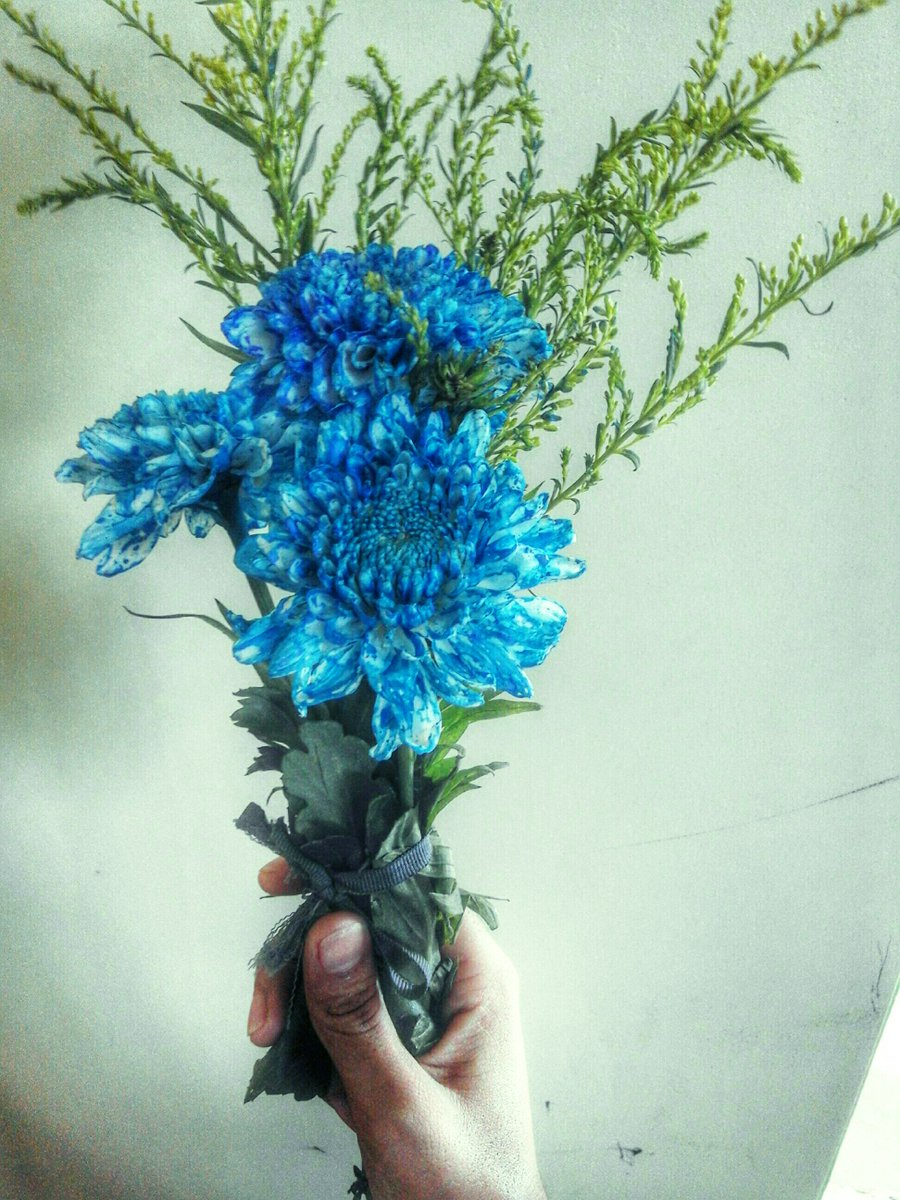 kwreenn's tweet photo. @FoodWarriorxxx Thank you so much for this Michin yahπ I am really happy to receive this blue I REALLY APPRECIATE THIS!
#BlueisLIFEπ¬π https://t.co/cvf6GxGgDO