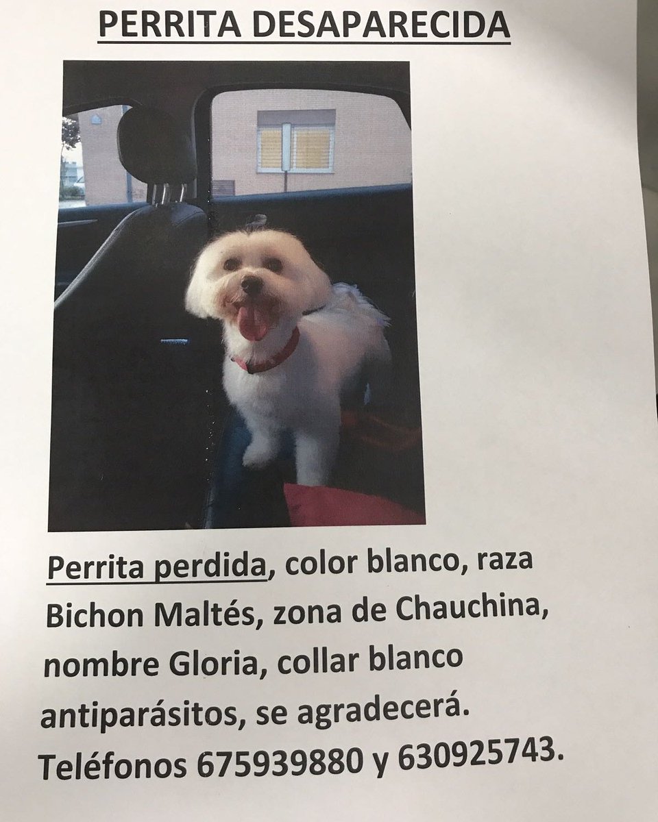 AlbitaPurple94's tweet photo. Gloria sigue desaparecida, por favor difundid. Puede estar por la zona de Chauchina, Bobadilla, Lachar, Cijuela, etc. Gracias por la ayuda. https://t.co/kes2XfQR0V