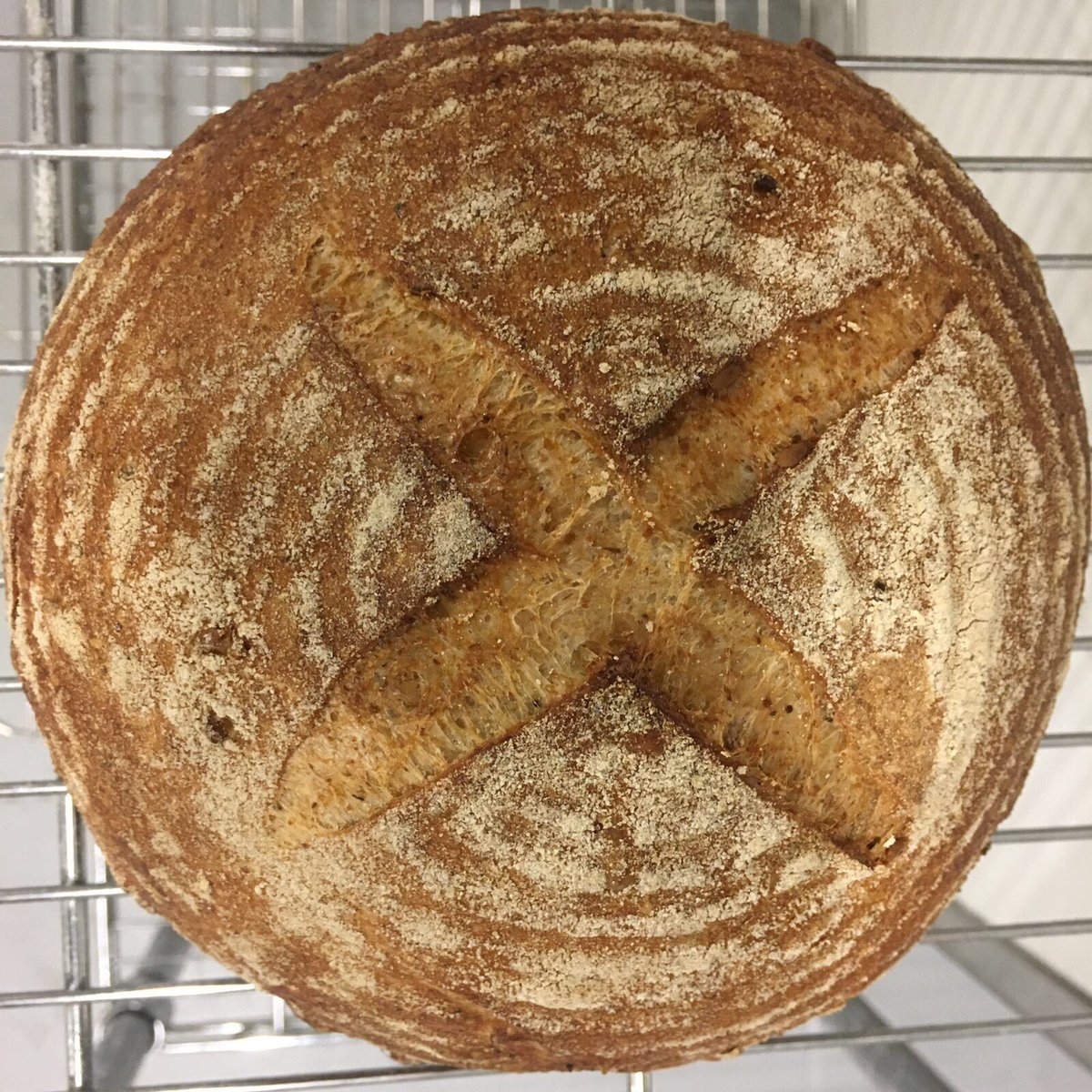 LearningLoaf's tweet photo. Countdown to THE #sourdough #breadmaking experience. Final week to book a place for £99!https://t.co/U4s8Qu4rI7 - that's #MondayMotivaton! https://t.co/E6x90Bl9W2