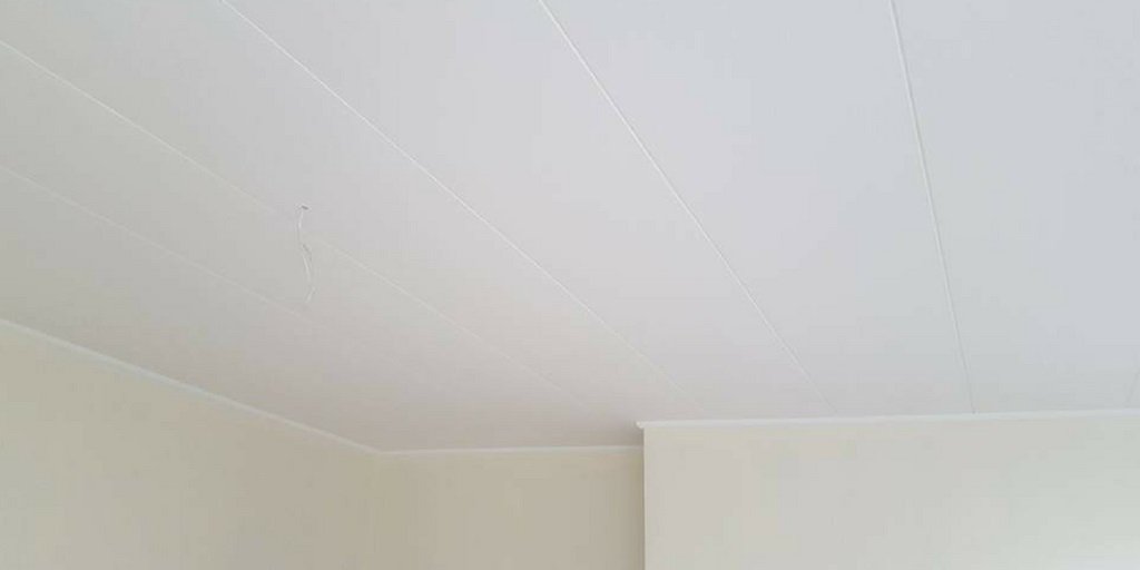 Isopine Hashtag On Twitter