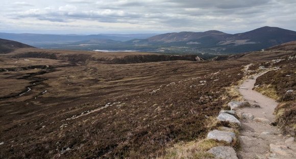 Dak_sha1's tweet photo. Our Ecologists get involved in some exciting projects, here's a little peek into a Day in the life @EcologyTweets  https://t.co/sCxVxsdg9g https://t.co/PoWKki8CWb