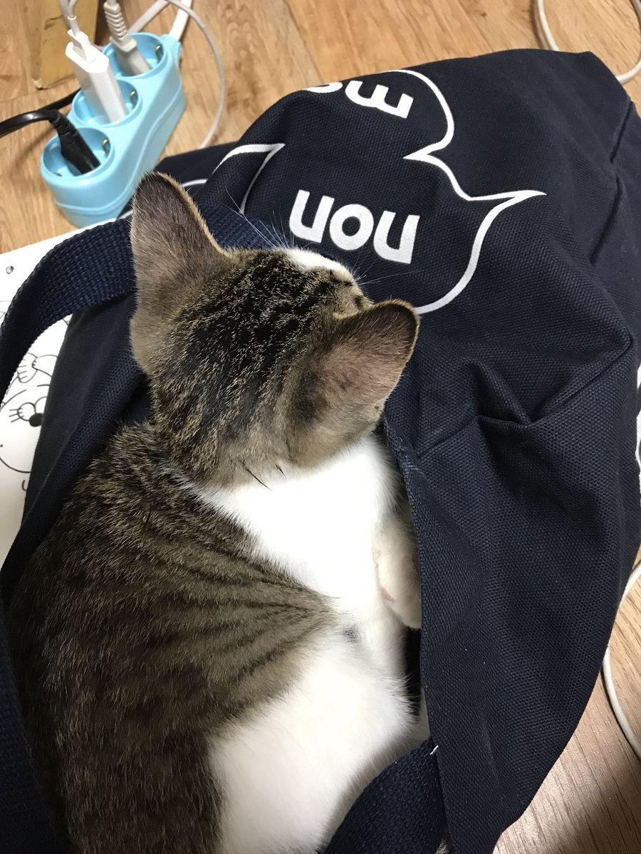 애기야 진자 미안한대 언니가 가방을 좀 싸야대