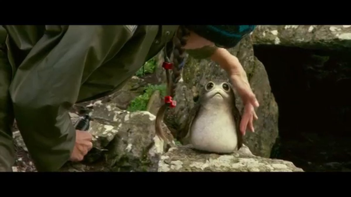 Ze スターウォーズ最後のジェダイ 今作新キャラのペンギンみたいな生き物 ポーグ レイの相棒 らしいんですが 凄い 可愛い 日本での公開は 17年12月15日 金 なので待ち遠しいです Starwarsthelastjedi スターウォーズ Sw T Co