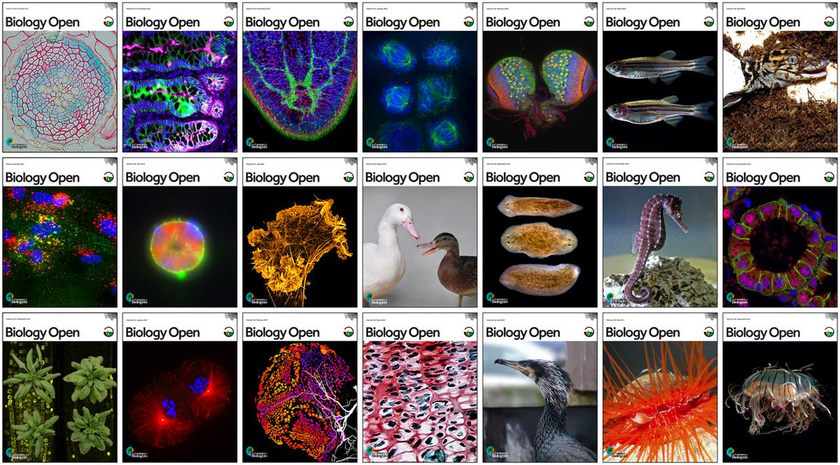 The Company of Biologists (@co_biologists) on Twitter photo Happy birthday <a href="/BiologyOpen/">Biology Open</a>! ow.ly/lwKr30dGeIw Happy birthday <a href="/BiologyOpen/">Biology Open</a>! ow.ly/lwKr30dGeIw