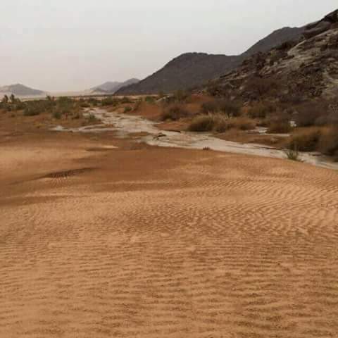 . (@alyamy71) on Twitter photo 