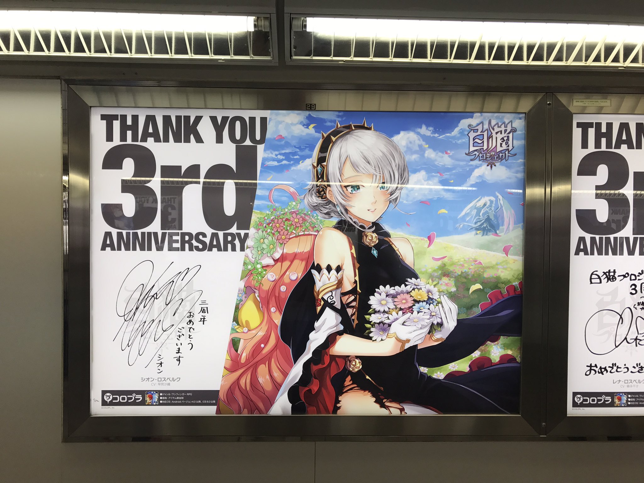 白猫3周年サイン - البحث / X