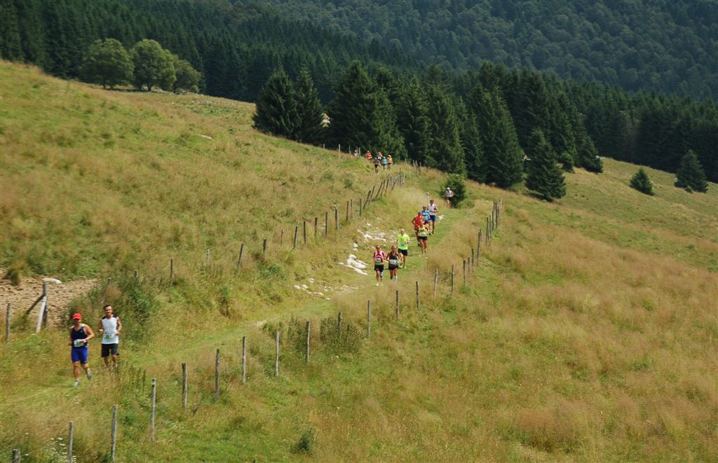 per4piedi's tweet image. Alla #CansiglioRun si vedranno i caprioli? ☺️ facebook.com/per4piedi/post… #4piedi #iocorroqui @TurismoVeneto @cansiglio @AlpagoCansiglio