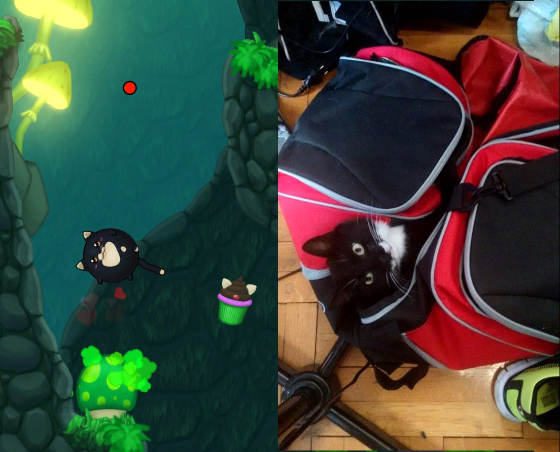 Pinnatta tweet media