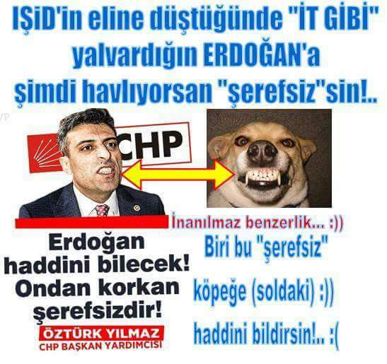 Kediye şarabı içirmişler
O Aslan buraya gelecek demiş bunların ki de o hesap 😂😂