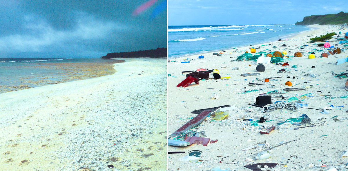 Enviro Jobs Network tweet media