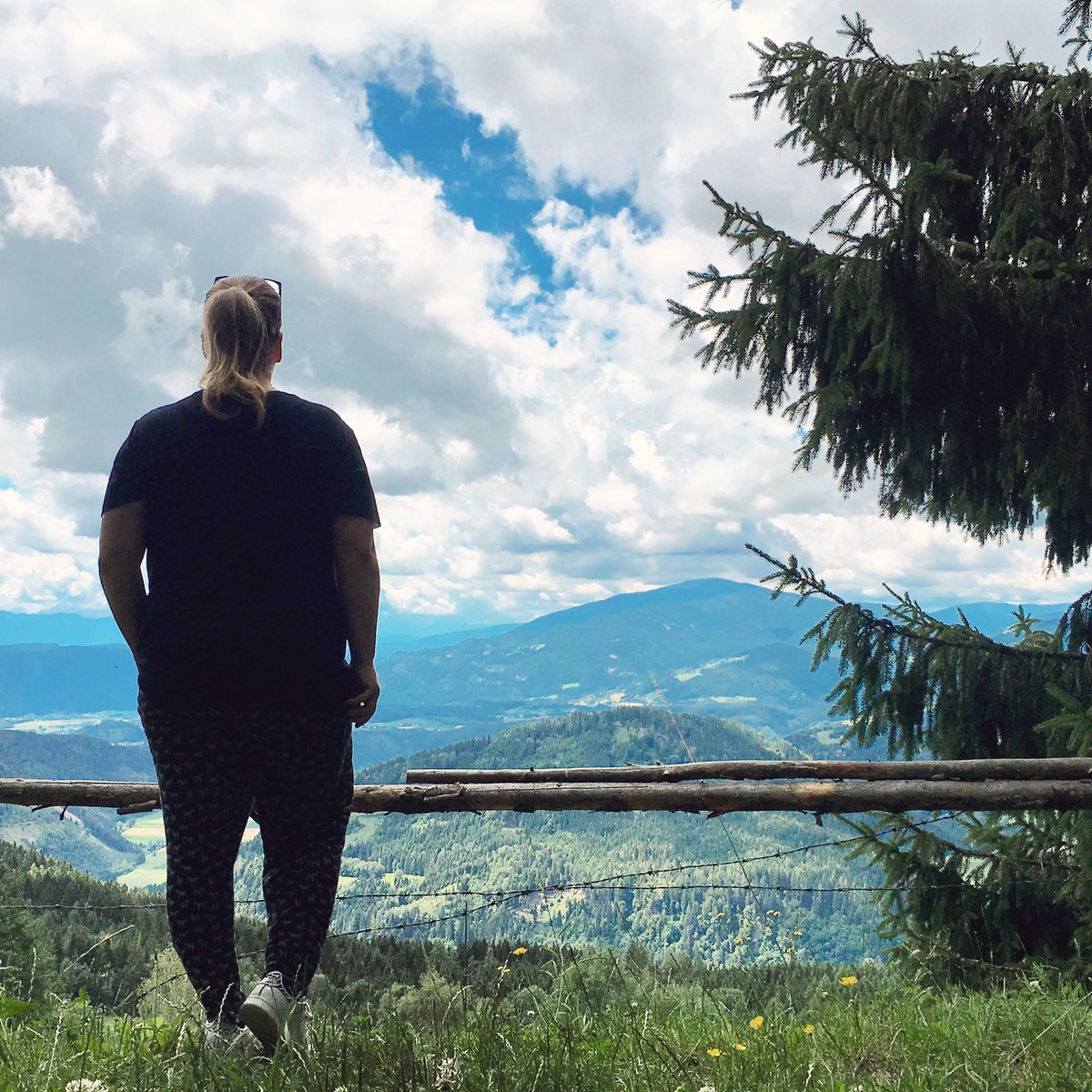 Dreigroschenoma's tweet photo. Wie ich die Welt seit zwei Wochen sehe. #buggl #kärnten https://t.co/x0XqkpK8Yc