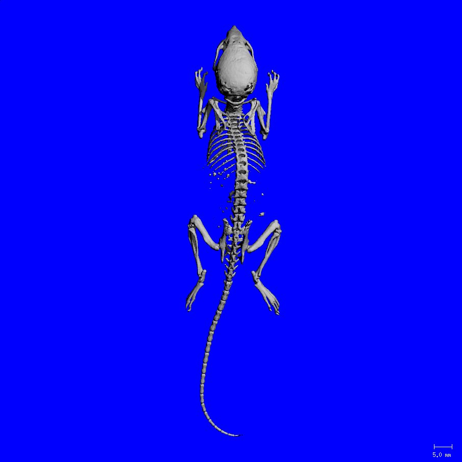 MultiSimAward's tweet image. Explore combining experimental & #ComputationalResearch to reduce invivo testing in preclinical settings multisim-insigneo.org/modelathon/ #biomech