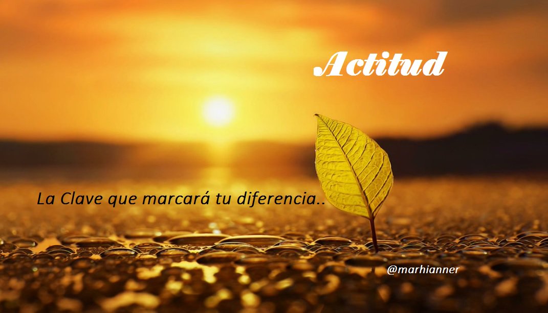 UnMinutoContigo's tweet photo. Bendecido día de  #HacerloDiferente 🌷🍁🌹 en #Positivo en #AltaVibración 💜 https://t.co/0Ayy4OgqJP