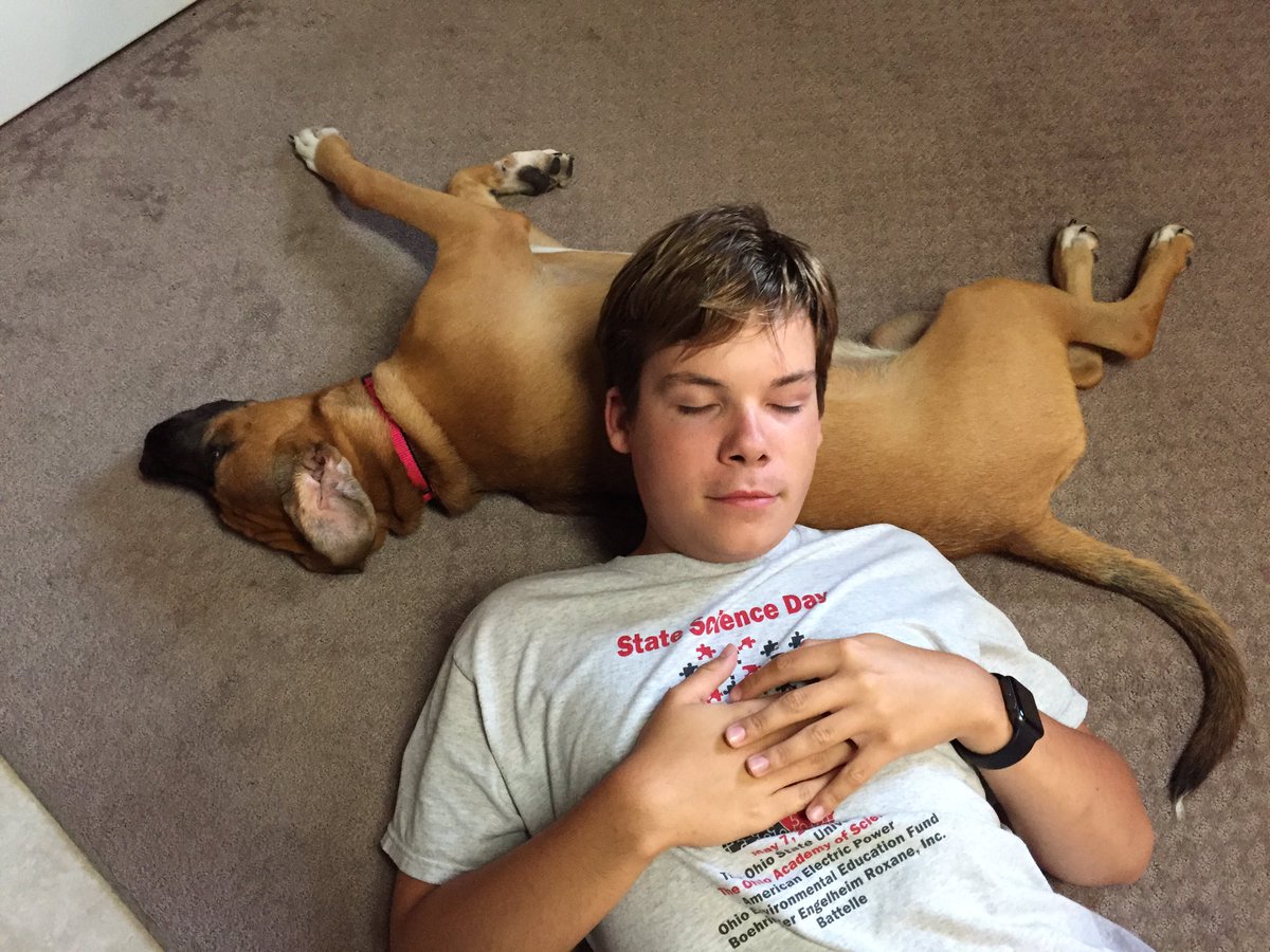 TwixieTweets's tweet photo. Sometimes your sole purpose is to serve as a pillow, so be a good one! https://t.co/YQLEiA1IZ6