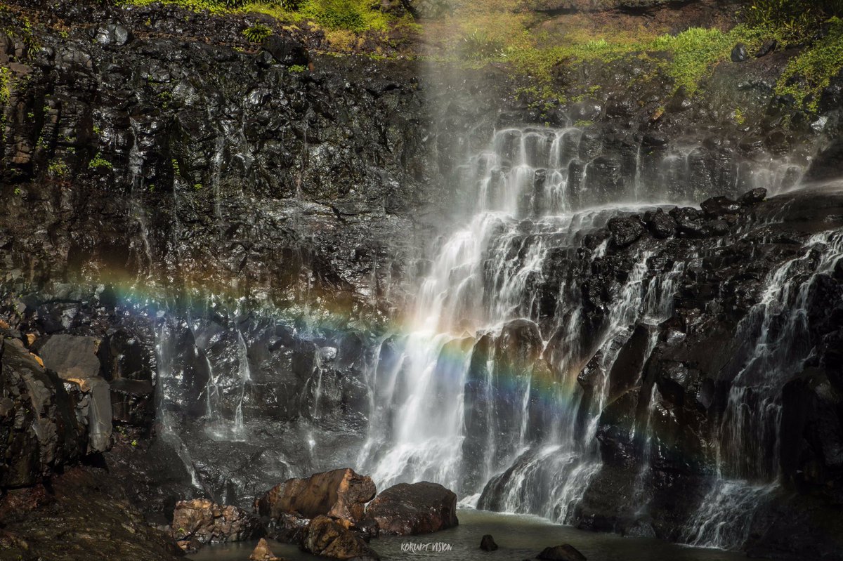 Liz BlatchfordMurray (Liz_Blatchford) Twitter