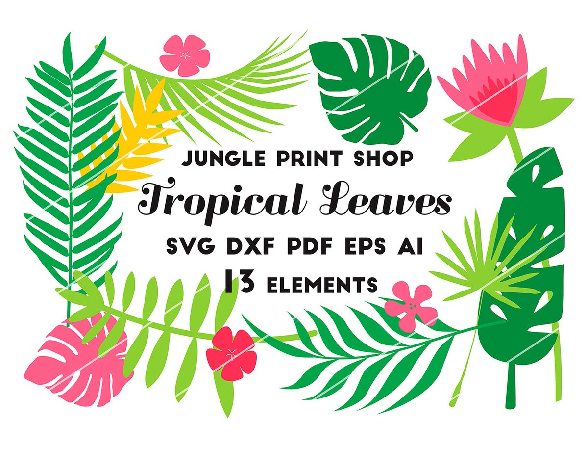 Download Jungle Print Shop Jungleprintshop Twitter
