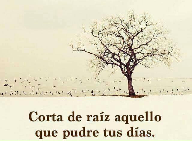Resultado de imagen para cortar de raiz