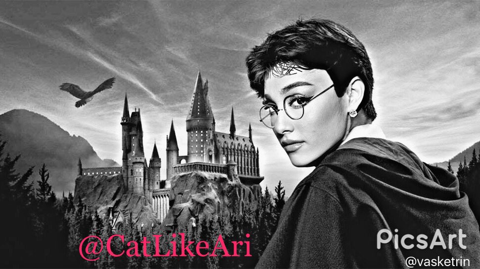 CatLikeAri's tweet photo. Lets see how many Arianator retweet this for @ArianaGrande 💭🥀 #imadethis https://t.co/lMcAYRCy6k