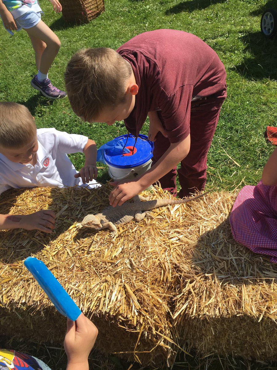 carleysmith87's tweet photo. Had a fab time at the family dinner fun day @TrumacarPTA @TrumacarPrimary, thank you to all who organised it! https://t.co/CwC4MN5p3d