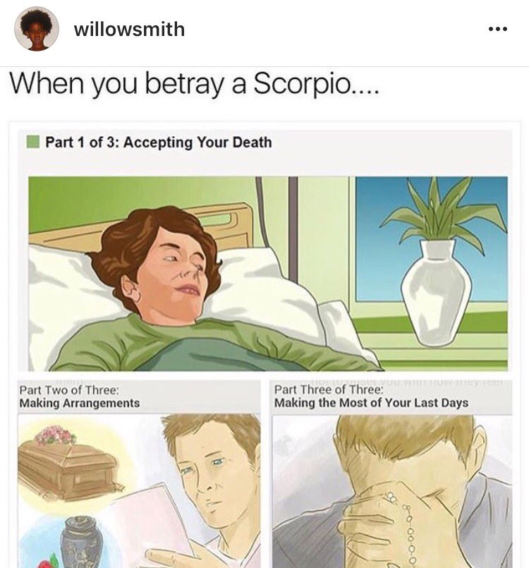 ScorpioMystique on Twitter: &quot;shoutout to #Scorpio @OfficialWillow for  posting the most accurate meme ever lmao 😂😭 #ScorpiosBeLike #TeamScorpio  #ScorpioAF ♏️🦂… https://t.co/yL8SrLd4Fs&quot;