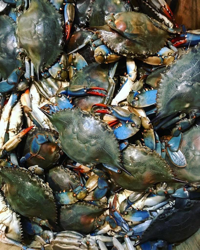 The crabs are in the house!! We are very excited to have our first #crabboil 🦀🦀🍻 ift.tt/2u28Ge0