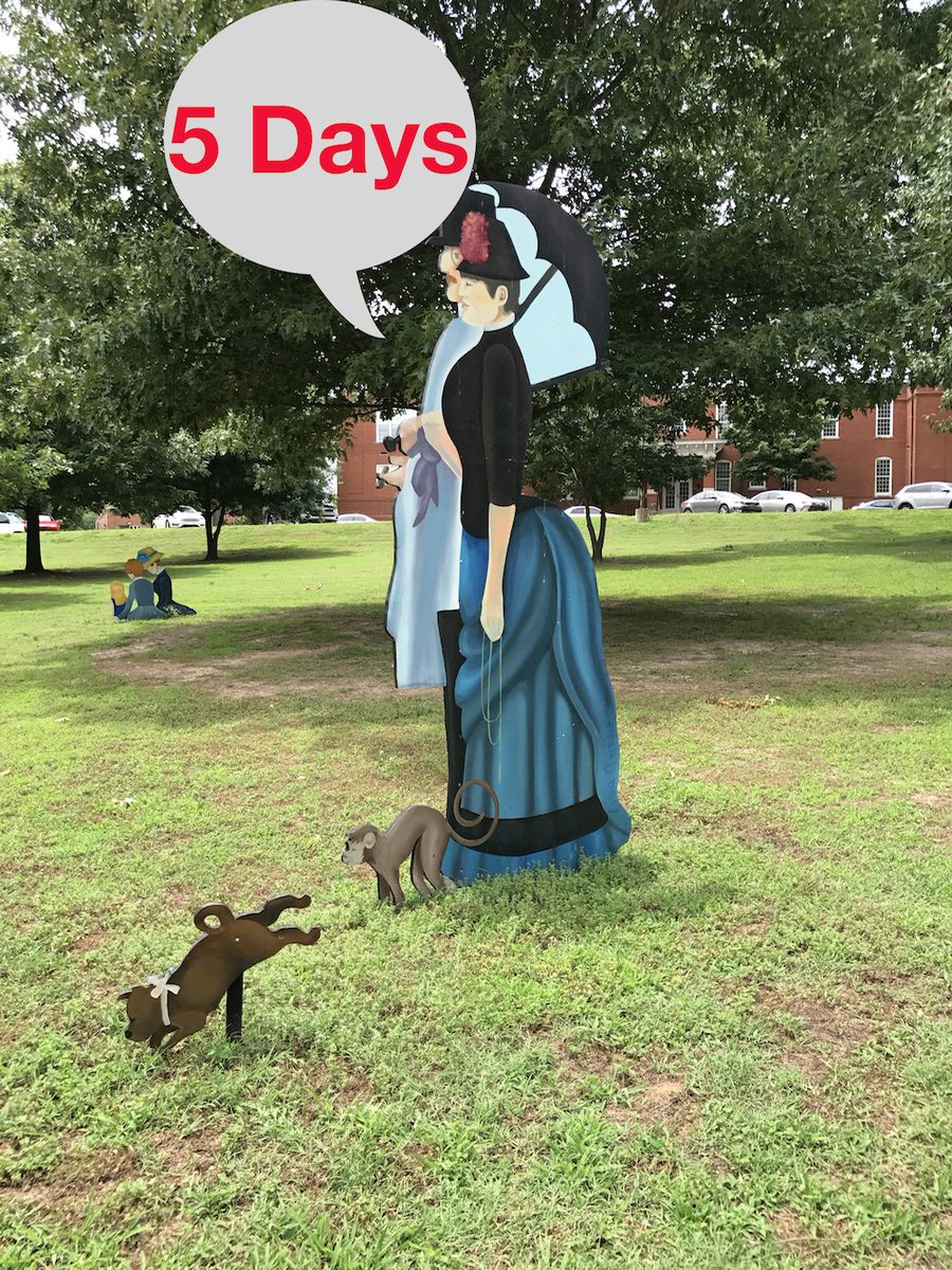 yallatdixpark's tweet image. Get ready! Y'all at Dix Park is just 5 days away!
#yallatdixpark #themostnc #downtownraleigh #dixparkconservancy #visitraleigh