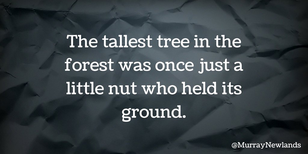 MurrayNewlands's tweet image. The tallest tree in the forest was once just a little nut who held its ground.

#MondayMotivation
#Inspiration