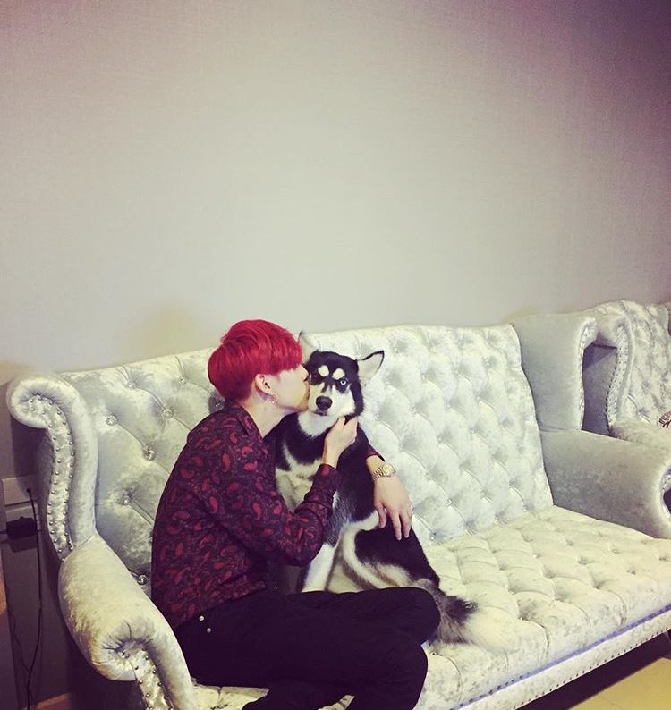 bambamdaily's tweet photo. This is the cutest thing ive seen in agesss https://t.co/lhex5gAvrm