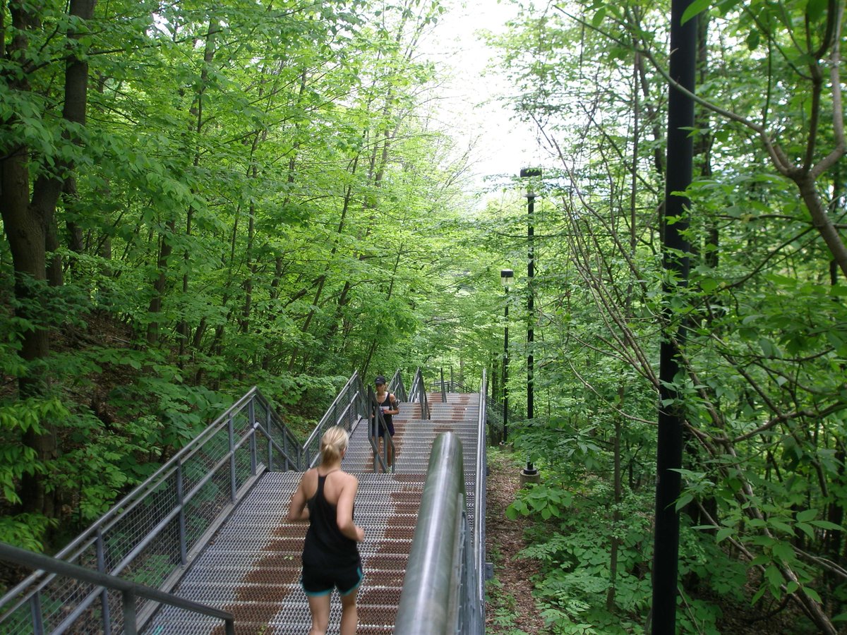 cityofhamilton's tweet photo. WOW! Between July 5, 2016-July 5, 2017, we recorded over 1 million trips up/down the Chedoke Stairs! https://t.co/3nk4FJl5je #HamOnt https://t.co/6kY7PDQmUN
