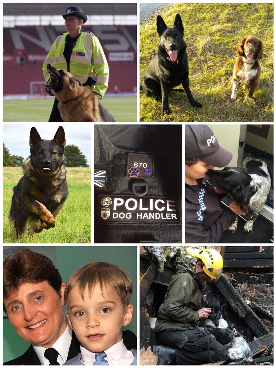 ex police dog trainer near me