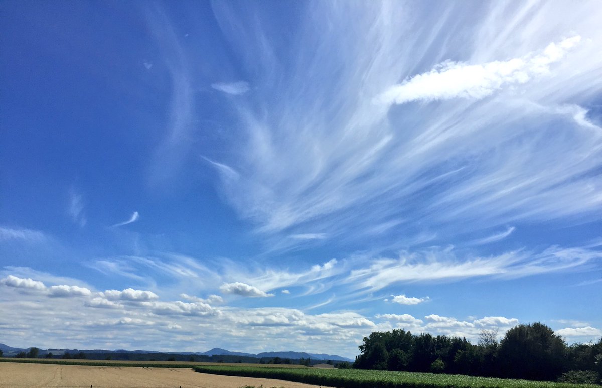 Still, the views are pretty decent.