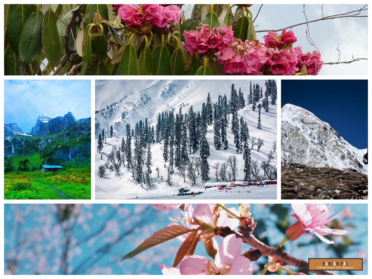 RanjanPalTravel's tweet photo. If you want to walk in the snow and see orchids and rhododendrons in full bloom in the Himalaya, go in spring.
#TrekTips #Himalaya https://t.co/UNkU2lJ6FS