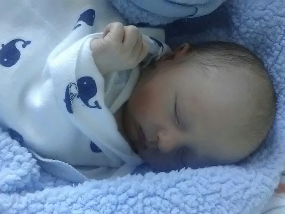 Chap_Track's tweet image. The newest Wolverine...Isaac Bateman