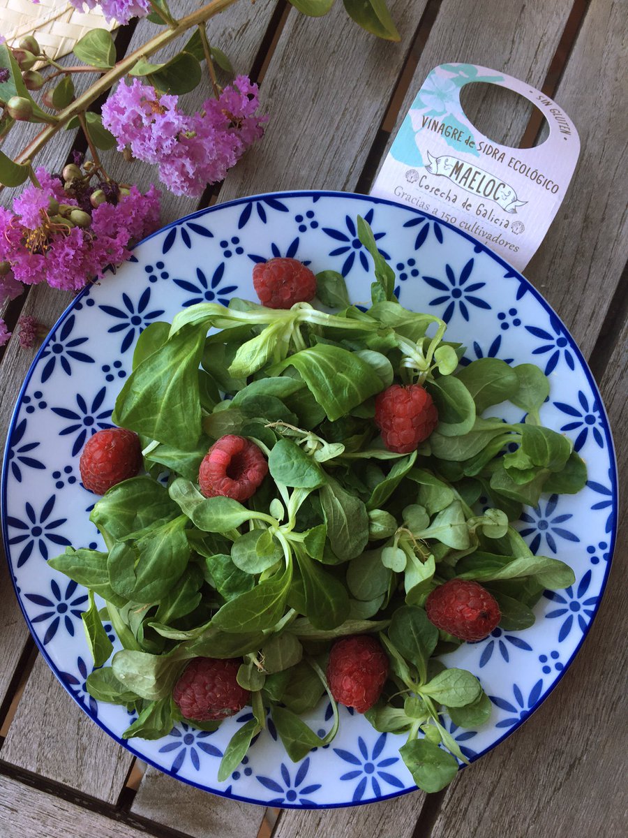 maelocway's tweet photo. Adereza tu ensalada con nuestro vinagre de sidra #Maeloc. ¡Riquísima! #cookityourway #CuadernodeRecetas https://t.co/z6CEu6Hlss